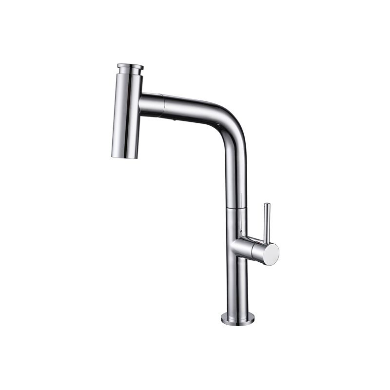 Modern Pull Down Single Handle Kitchen Faucet 1 Hold Faucet with Pull Out Sprayer