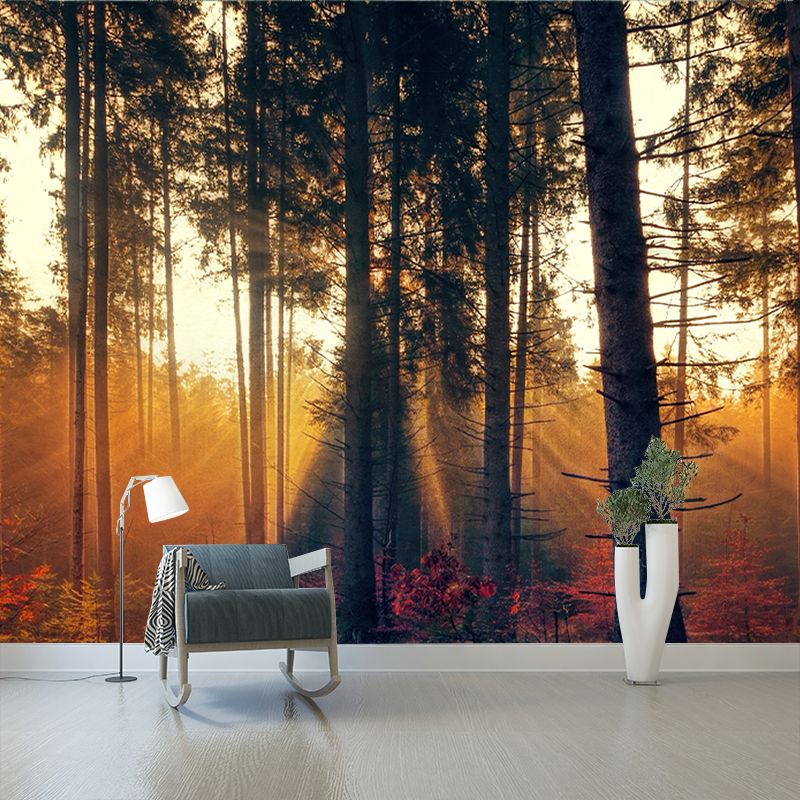 Environmental Wallpaper Forest Mildew Resistant Photography Wall Murals for Home