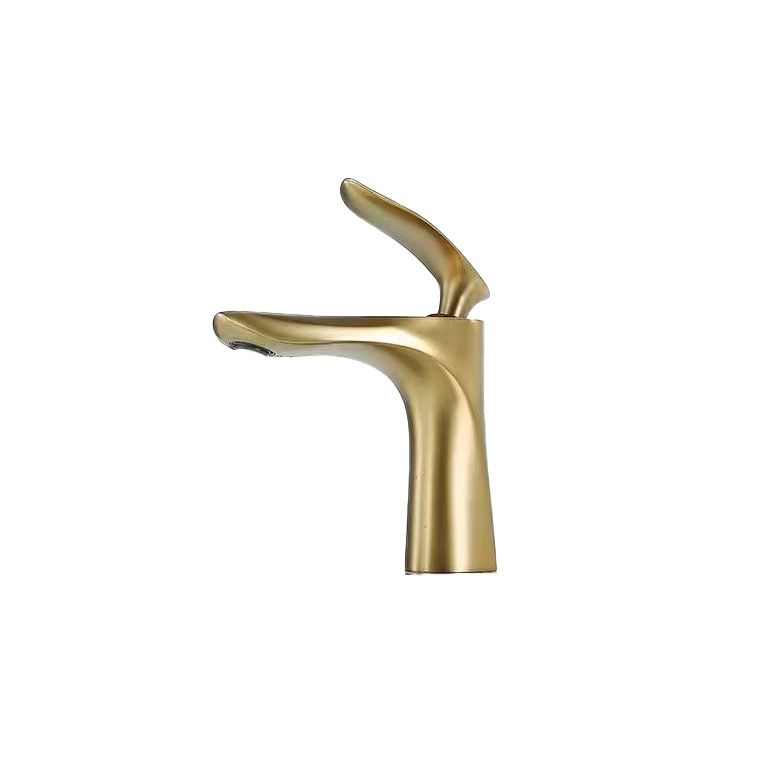 Lever Handle Vanity Sink Faucet Single Hole Basin Faucet with Water Hose