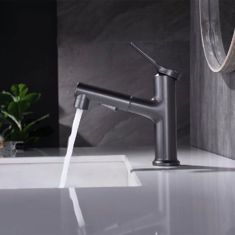 Contemporary Single Handle Faucet Pull-out Sink Faucet with Lever Handle