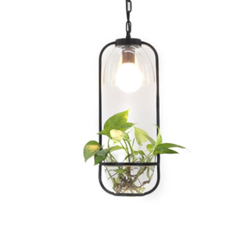 Industrial Ceiling Pendant Glass Plant Light Creative Coffee Shop Restaurant Light (Without Plants)