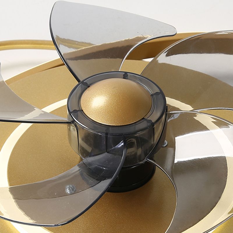 Oval LED Polished Gold Fan Mount Metal and Acrylic Contemporary Ceiling Fan