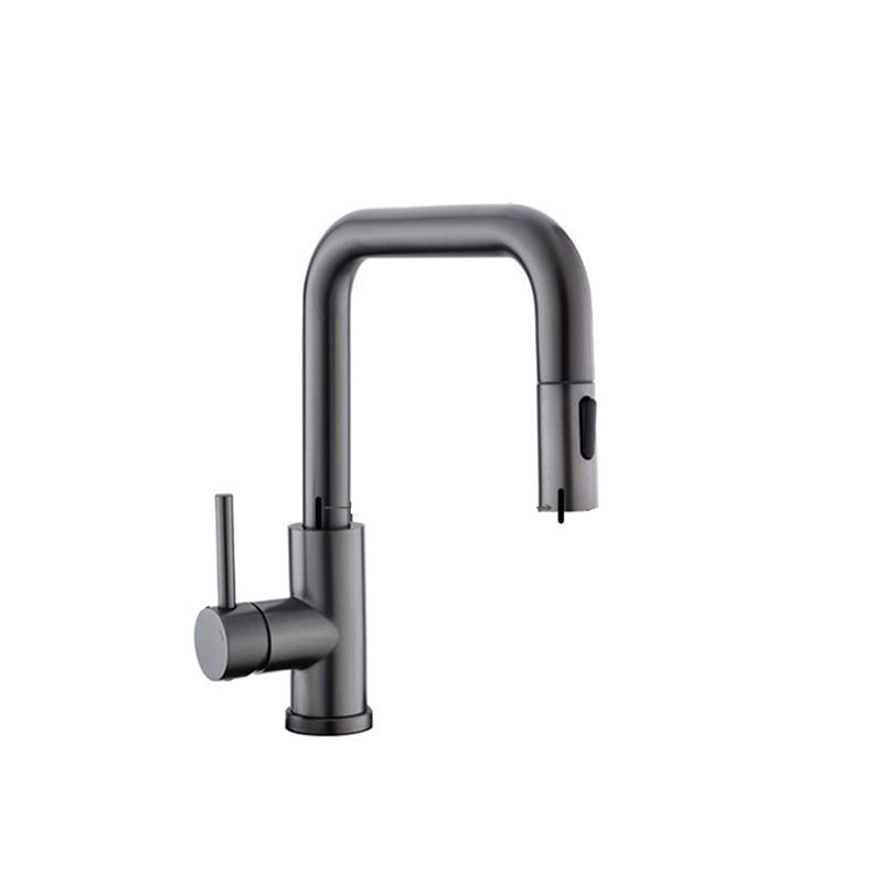 Modern Pull Out Single Rotary Switch Kitchen Faucet High Profile Faucet