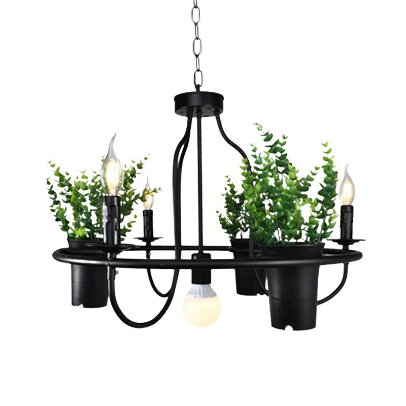 Candela lampadario Light Light Industrial 4/7 Bulbs Restauranti LED LAMPAGGIO IN NERO con pianta