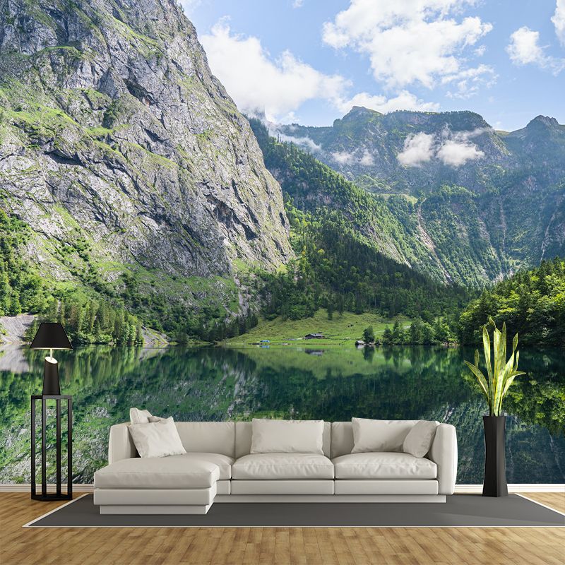 Photography Wall Mural Stain Resistant Landscapes Mountain Decorative Wall Mural