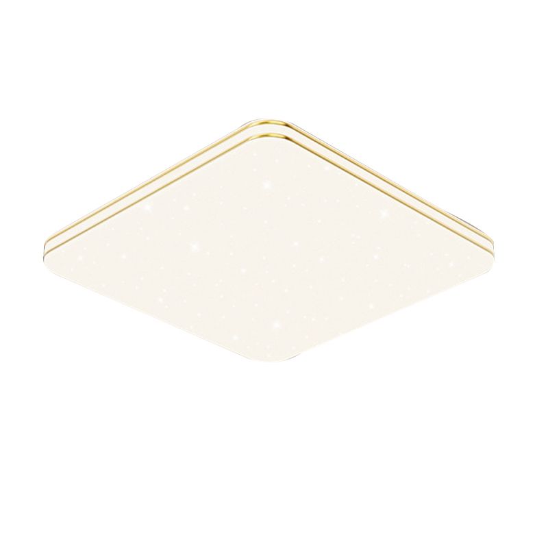 Single Golden Flush Mount Lighting LED Ceiling Light for Living Room