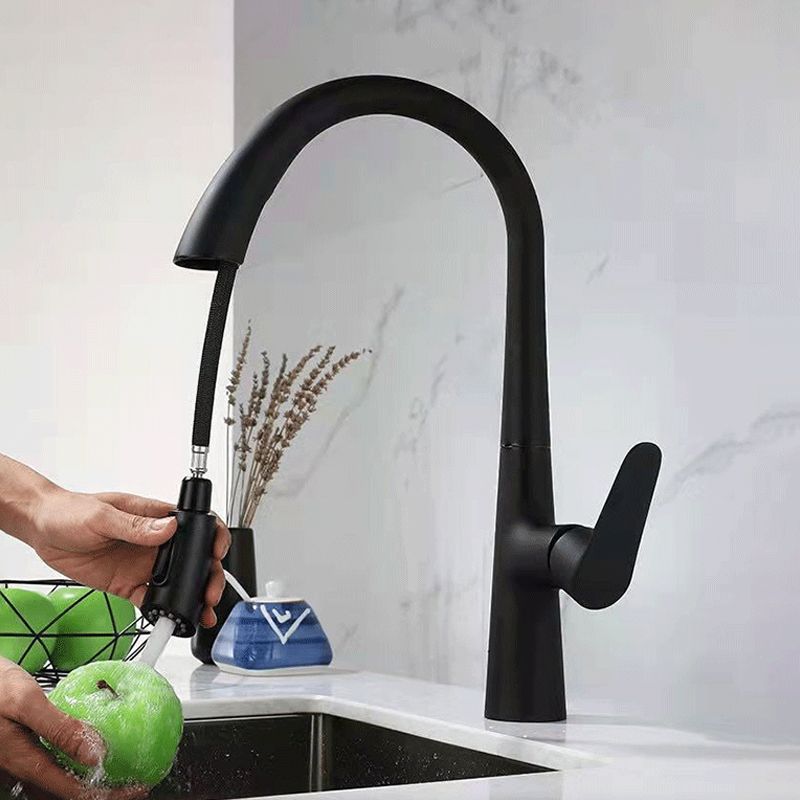 Modern 1-Handle Faucet Pull down Stainless Steel Standard Kitchen Faucet