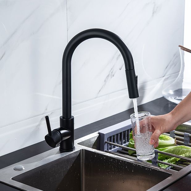 Modern Style Kitchen Faucet Gooseneck Kitchen Faucet with Pull down Sprayer