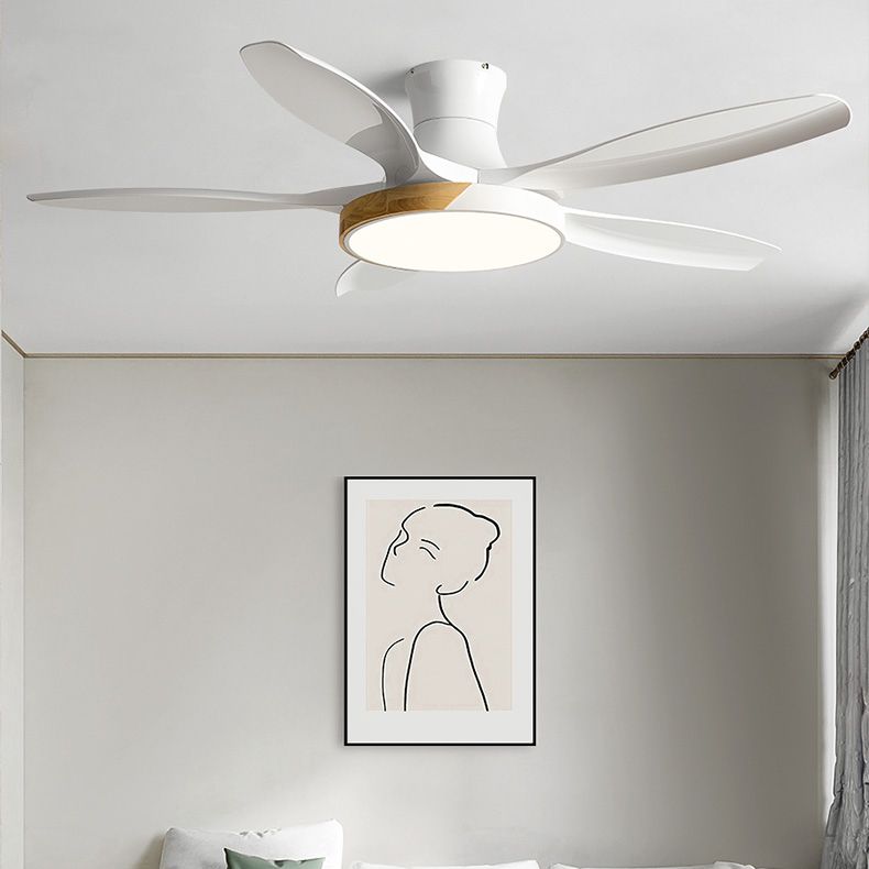 1 - Light Contemporary Ceiling Fan Metal 5 - Blades Fan Lighting Fixture