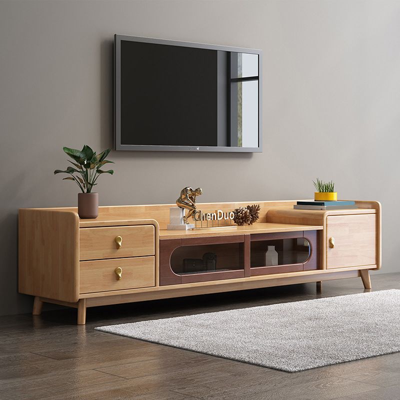 Contemporary Wood TV Stand Enclosed Storage TV Media Stand for Living Room