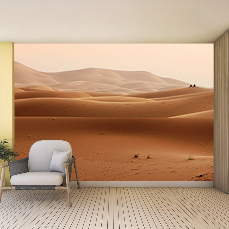 Desert Stain Resistant Photography Wall Mural Living Room Wallpaper