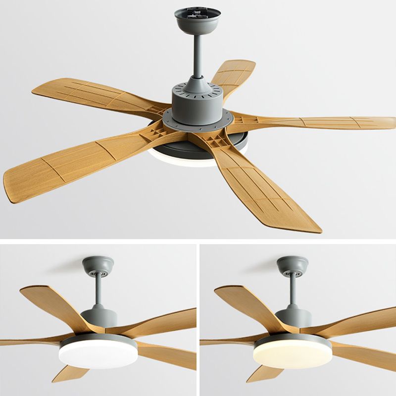 Acrylic Blade Fan Lighting Fixture Contemporary LED Ceiling Fan for Room