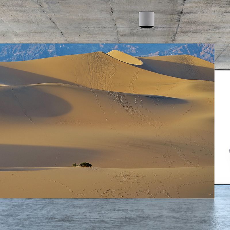 Landscapes Environmental Wall Mural Stain Resistant Desert Photography Wall Mural