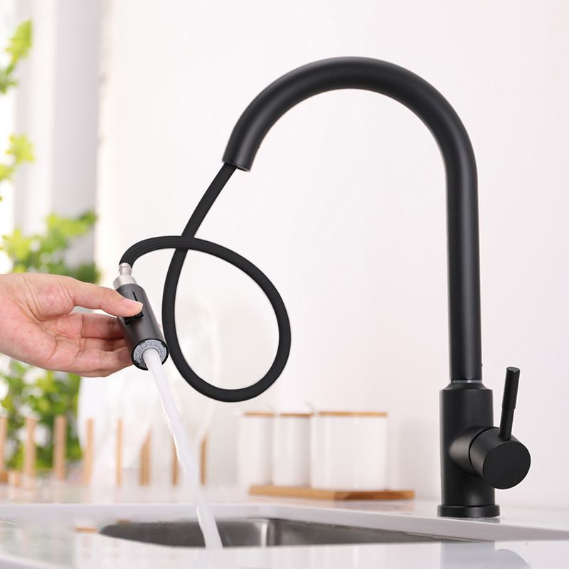 Modern 1-Handle Faucets Stainless Steel Gooseneck with Pull Out Sprayer Faucets