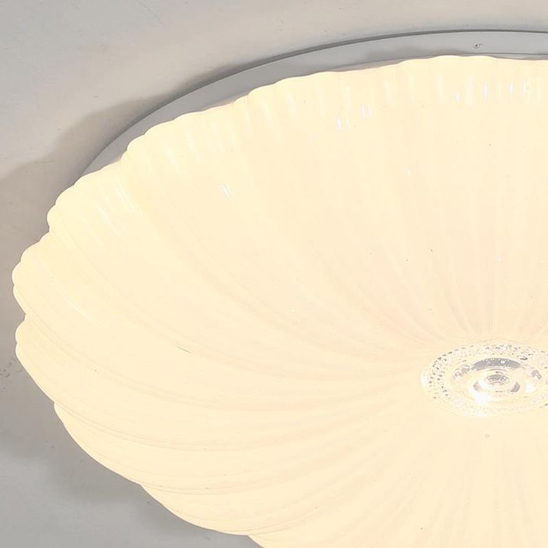 LED Modern Metal Flush Mount Shell Shape Ceiling Light with Acrylic Shade for Living Room