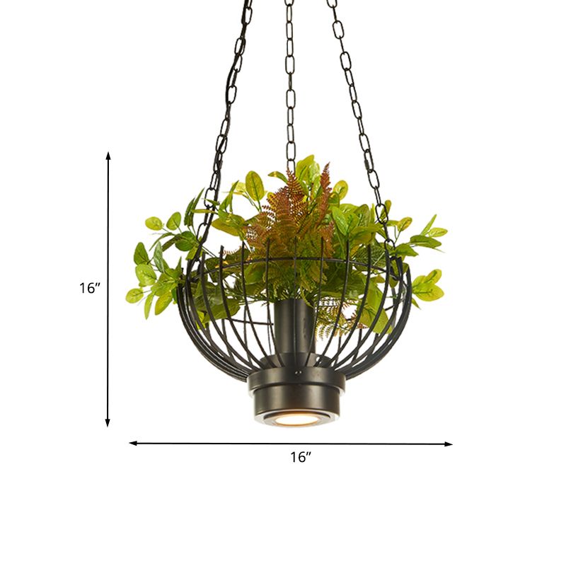 Bowl Cage Iron Pendant Lamp Farmhouse 1 Head Restaurant Hanging Light Fixture in Black with Plant