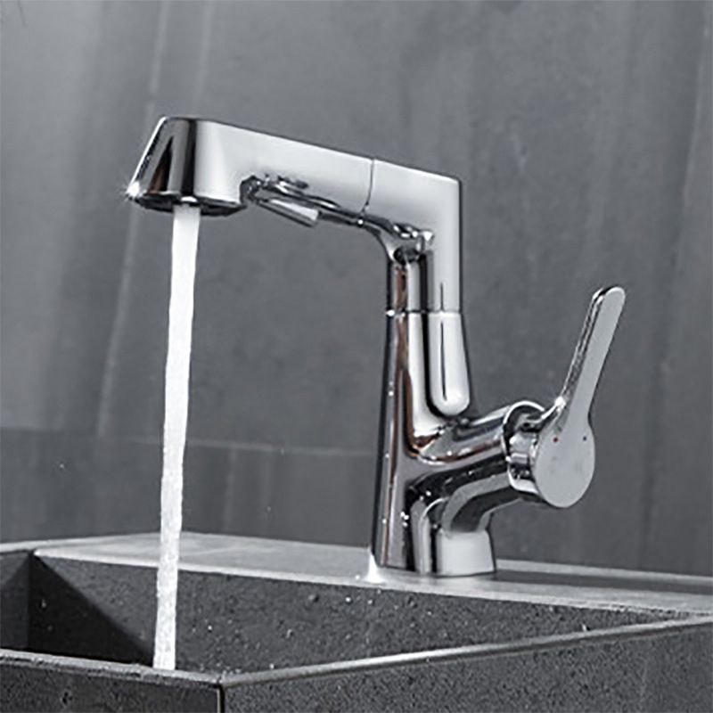 Contemporary Kitchen Faucet Single Handle 2-Function Faucet with Pull out Sprayer