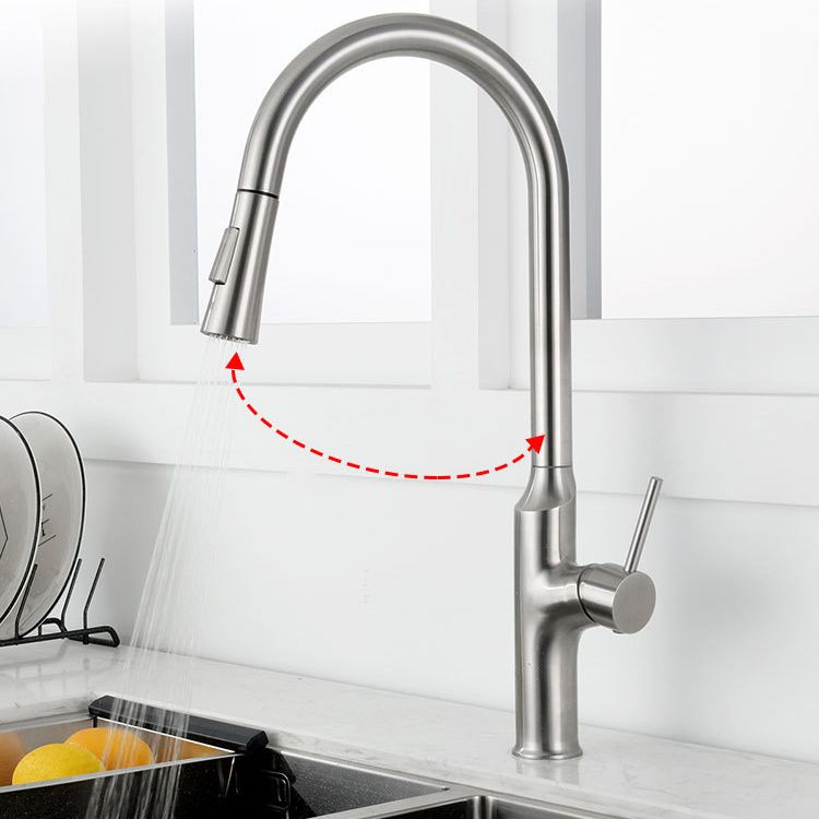 Contemporary Single Lever Kitchen Faucet 1-Hold Water Faucet with Pull out Sprayer