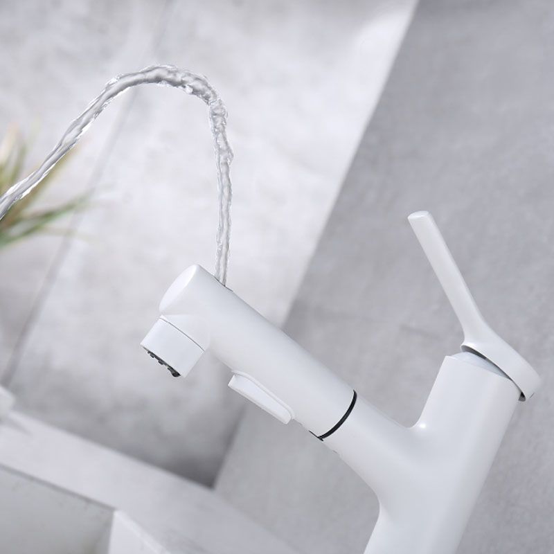 Contemporary Single Handle Faucet Pull-out Sink Faucet with Lever Handle