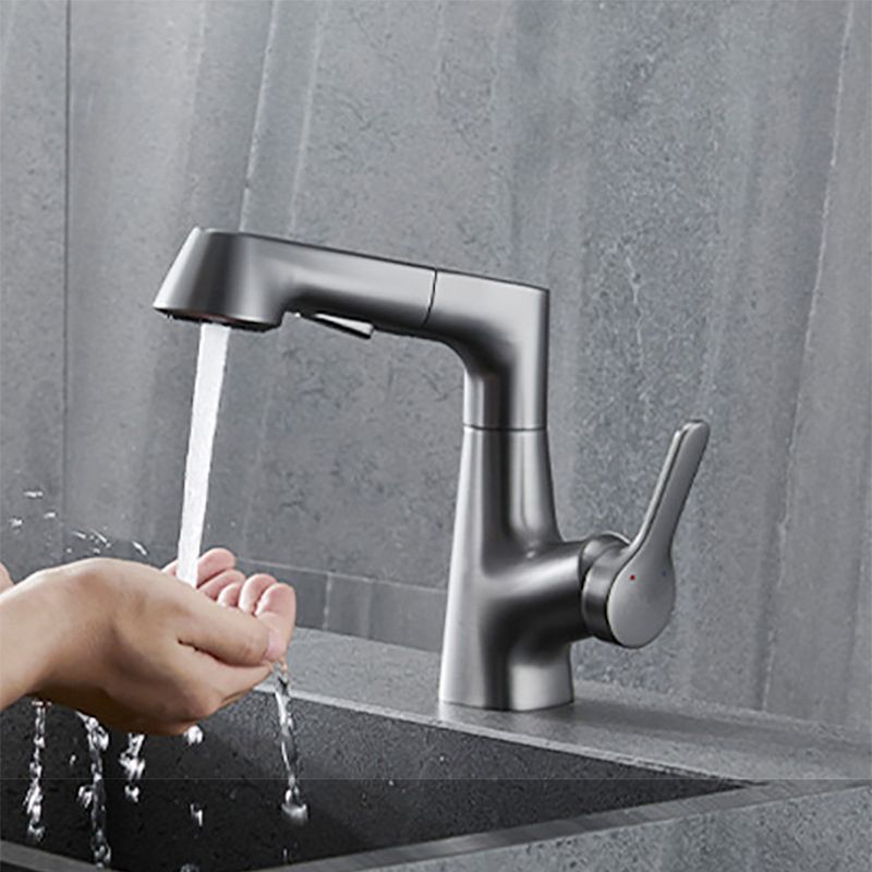 Contemporary Kitchen Faucet Single Handle 2-Function Faucet with Pull out Sprayer