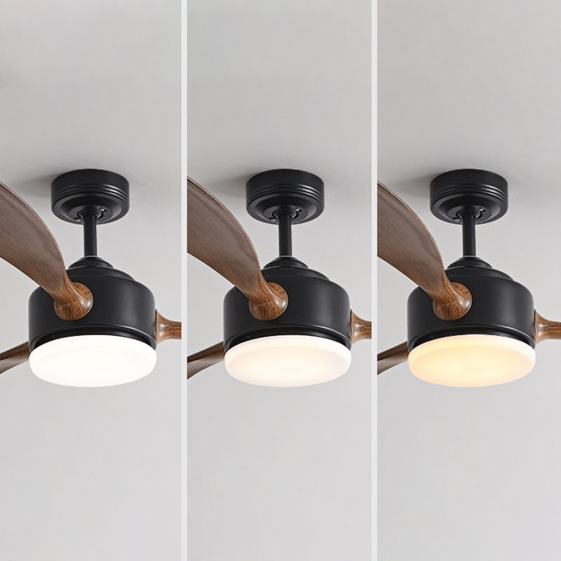 Contemporary LED Ceiling Fan 3-Blade Fan Lighting for Living Room