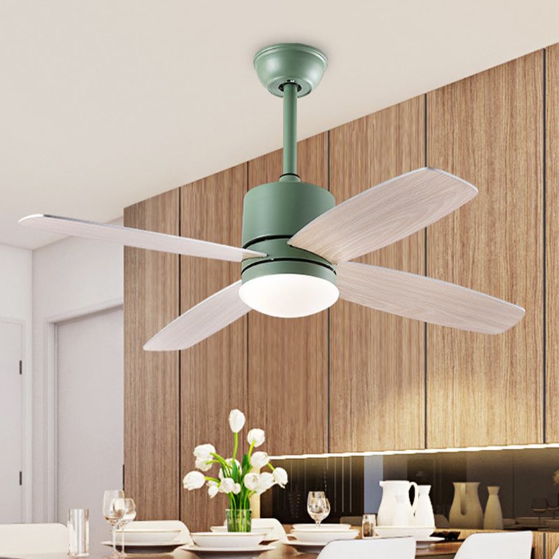 Cylinder Semi Flush Mounted Lamp Modern Metallic Green/Grey/Yellow 4 Blades LED Hanging Fan Light, 42" W