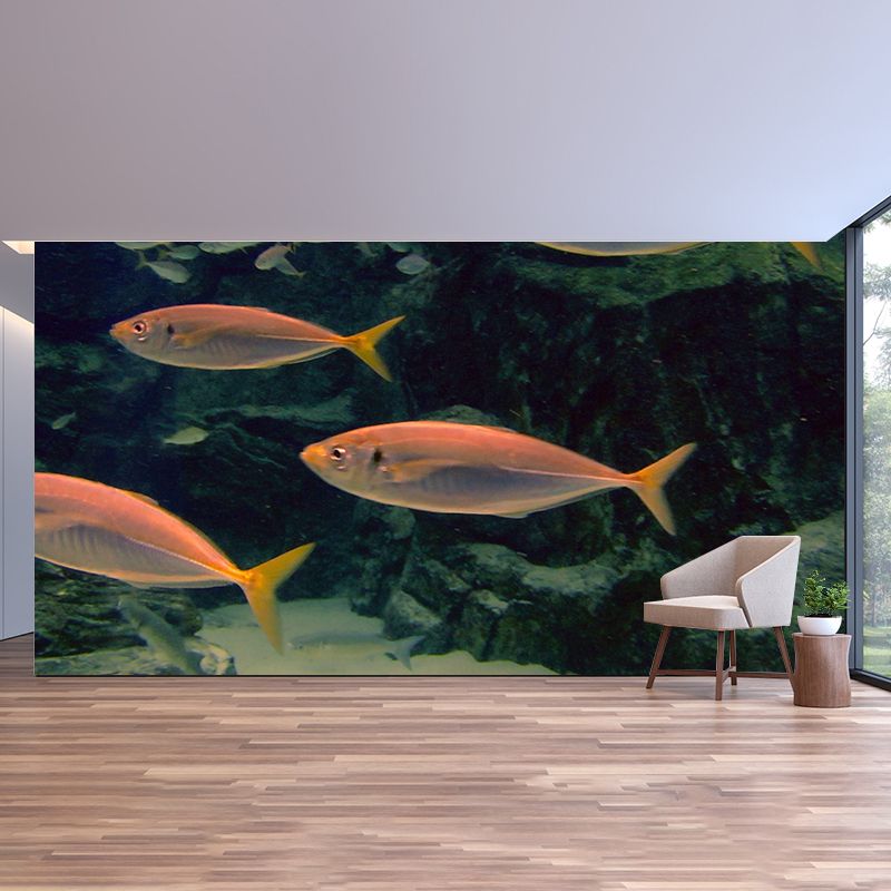 Photography Ocean Fish Printed Wall Mural Modern Stain Resistant Wall Mural