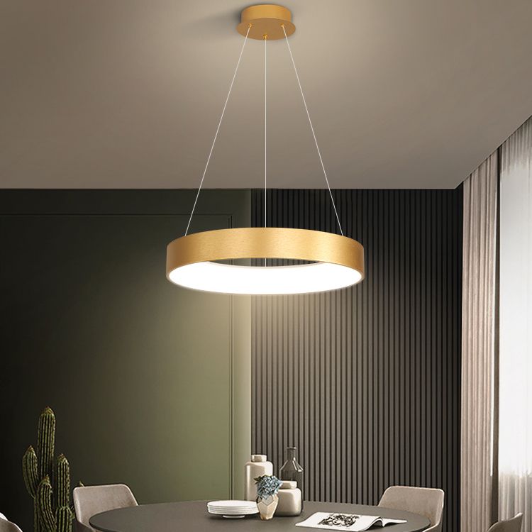 Modern Style Hanging Lighting Fixture Household LED Chandelier for Sitting Room