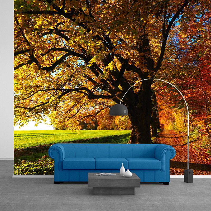 Eco-friendly Photography Forest Wall Mural Drawing Room Mural Wallpaper