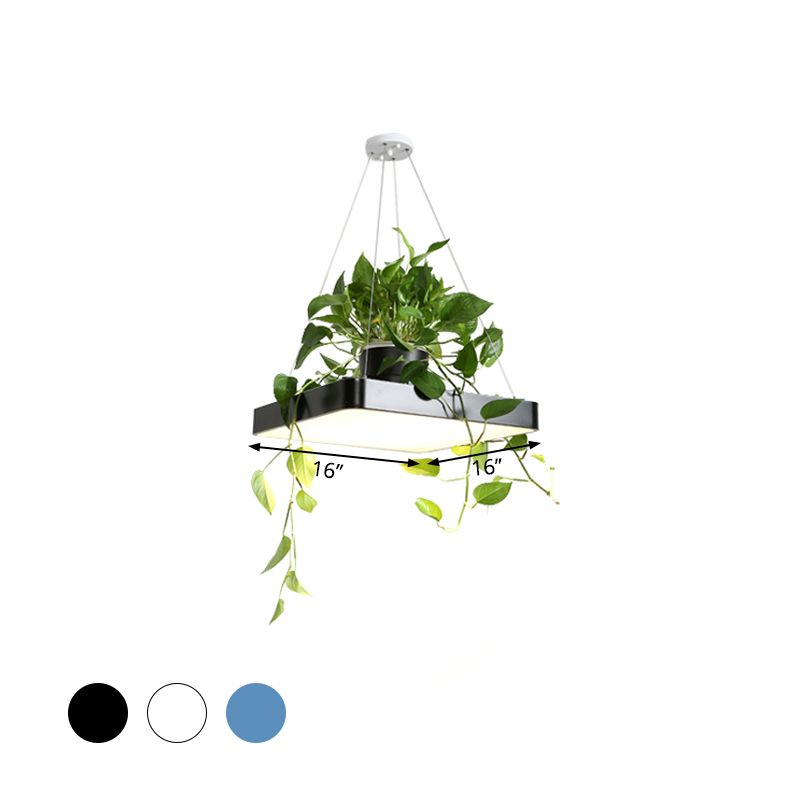 Square Restaurant Ceiling Pendant Nordic Acrylic Black/White/Blue LED Hanging Lamp Kit with Plant Container, 16"/19.5" W