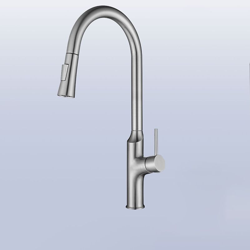 Contemporary Single Lever Kitchen Faucet 1-Hold Water Faucet with Pull out Sprayer