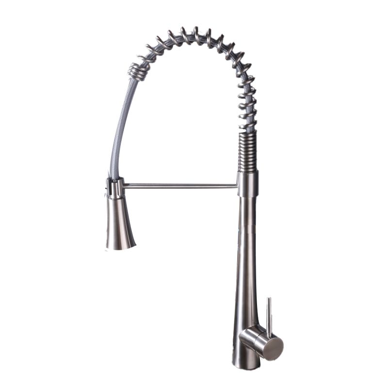 Contemporary Kitchen Faucet Pull down Sprayer Standard Bar Faucet in Silver