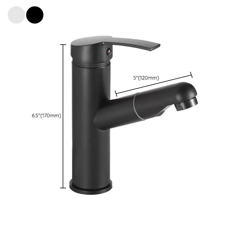 Modern Design Bathroom Faucet Single Handle Faucet with Water Hose