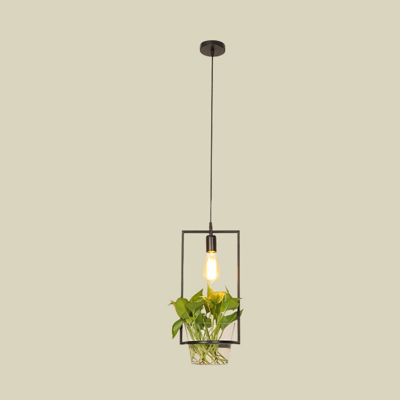 Zwart 1-head Down Lighting Retro Iron Square/Round/Gourd plafond hanger licht met ingemaakte plant voor restaurant