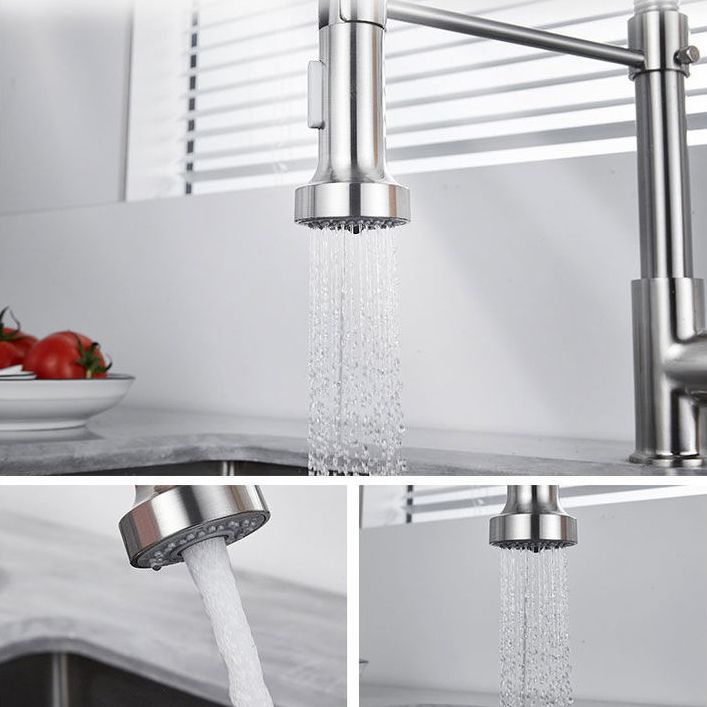 1-Handle Faucets with Water Dispenser Spring Spout Standard Kitchen Faucets