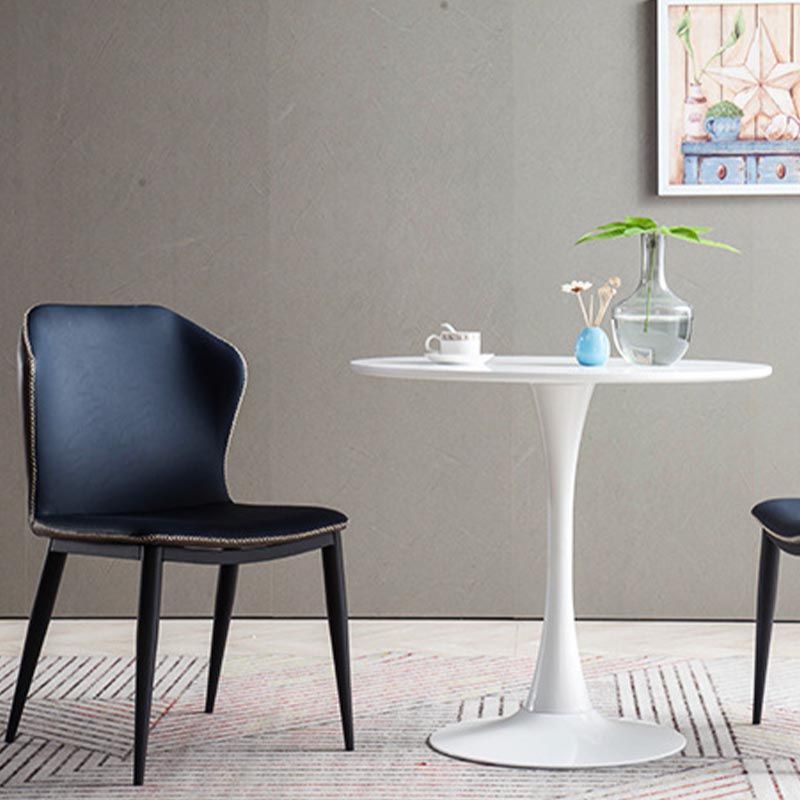 Contemporary Dining Chairs Armless Chairs with Metal Legs for Kitchen