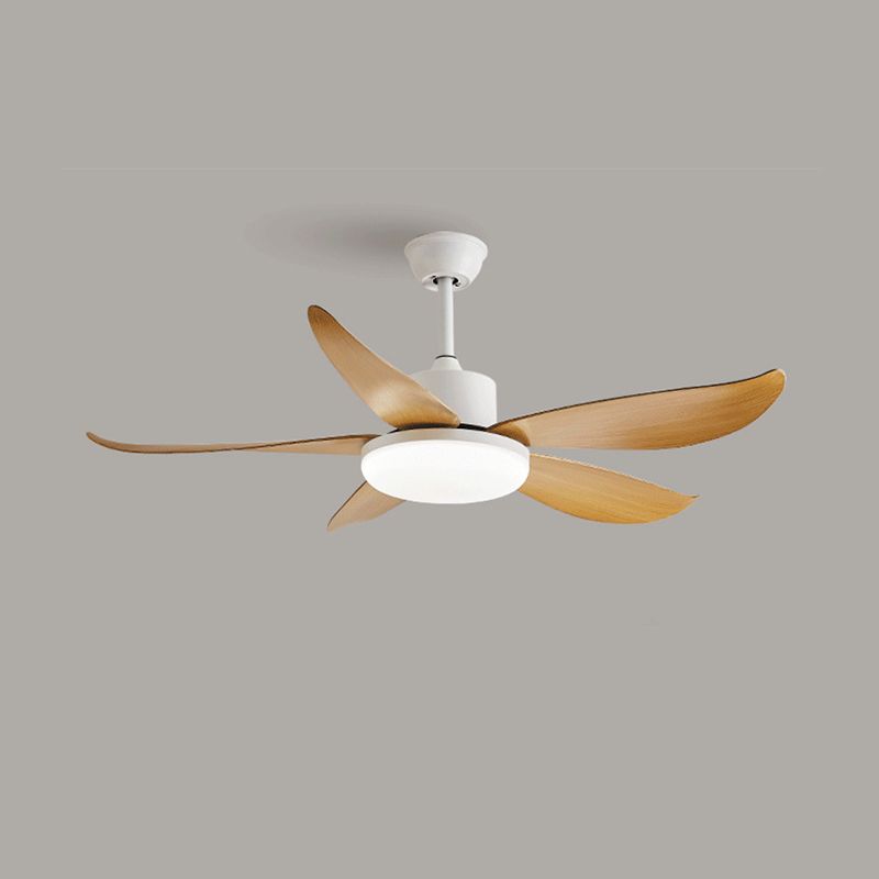 Simple Ceiling Fan Light Fixture Modern LED Ceiling Flush Mount for Kids' Room