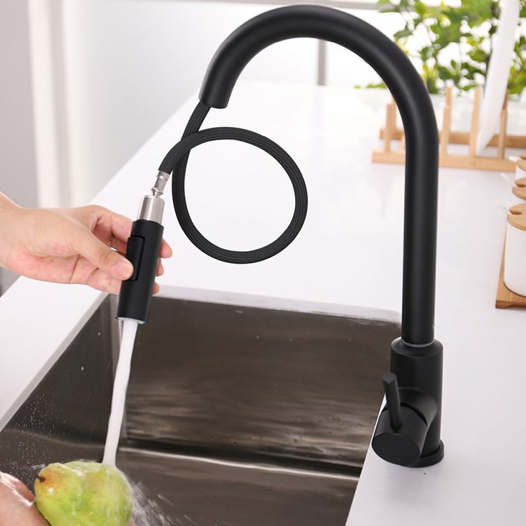 Modern 1-Handle Faucets Stainless Steel Gooseneck with Pull Out Sprayer Faucets