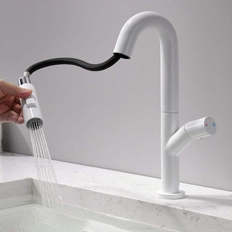 High-Arc Modern Style Bathroom Faucet Single Handle Pull-out Faucet