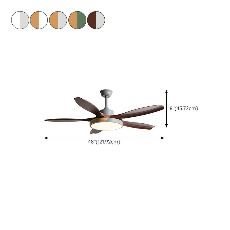 1 - Light Ceiling Fan Light Minimalist Metal and Acrylic Fan Light Ceiling