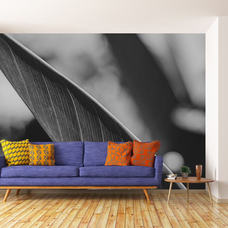 Feather Washable Photography Wallpaper Living Room Wall Mural