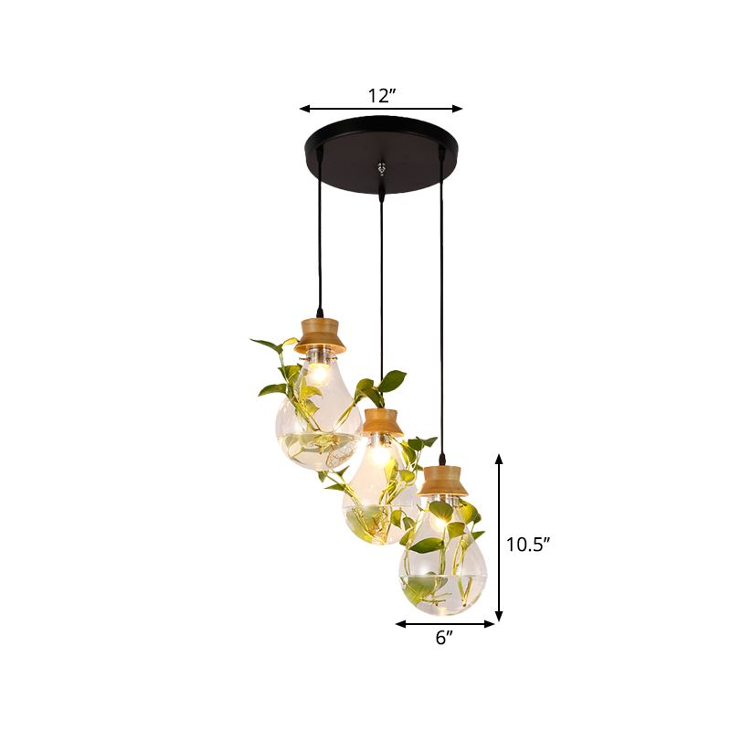 12"/19.5" W 3-Head Cluster Pendant Farmhouse Bulb Shaped Clear Glass Hanging Light Kit in Black, Linear/Round Canopy