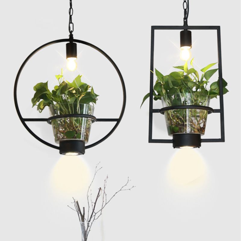 Zwart 1 Lichte verlichting Industrieel ijzerronde/rechthoekige kooi druppel hanger met heldere glazen plantenpot