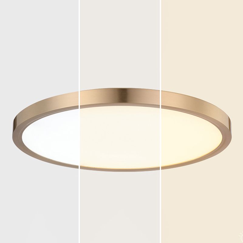 Metal LED Modern Flush Mount Circle Shape Ceiling Light with Acrylic Shade for Living Room