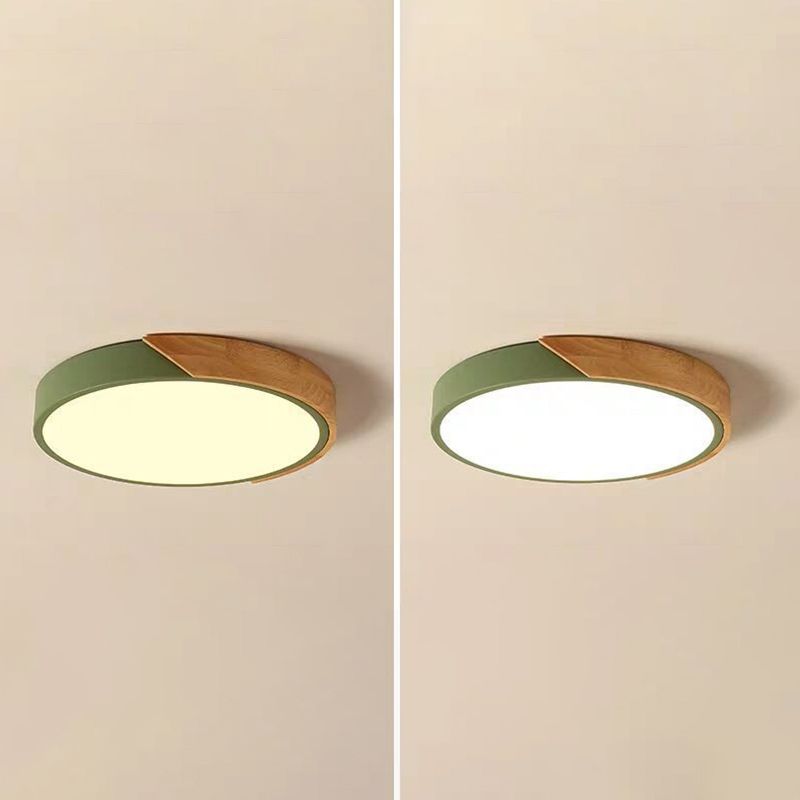 Metal Circle Ceiling Light Fixture Nordic LED Ceiling Flush Mount