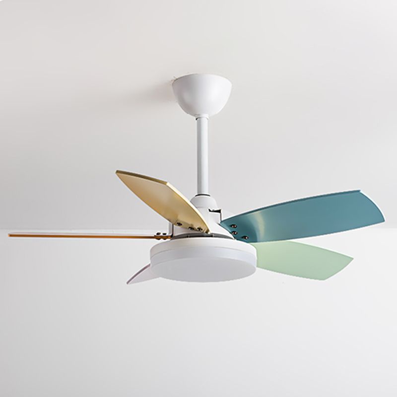 Modern Simple Metal Ceiling Fan Lamp Colorful Blades LED Ceiling Fan Light for Bedroom