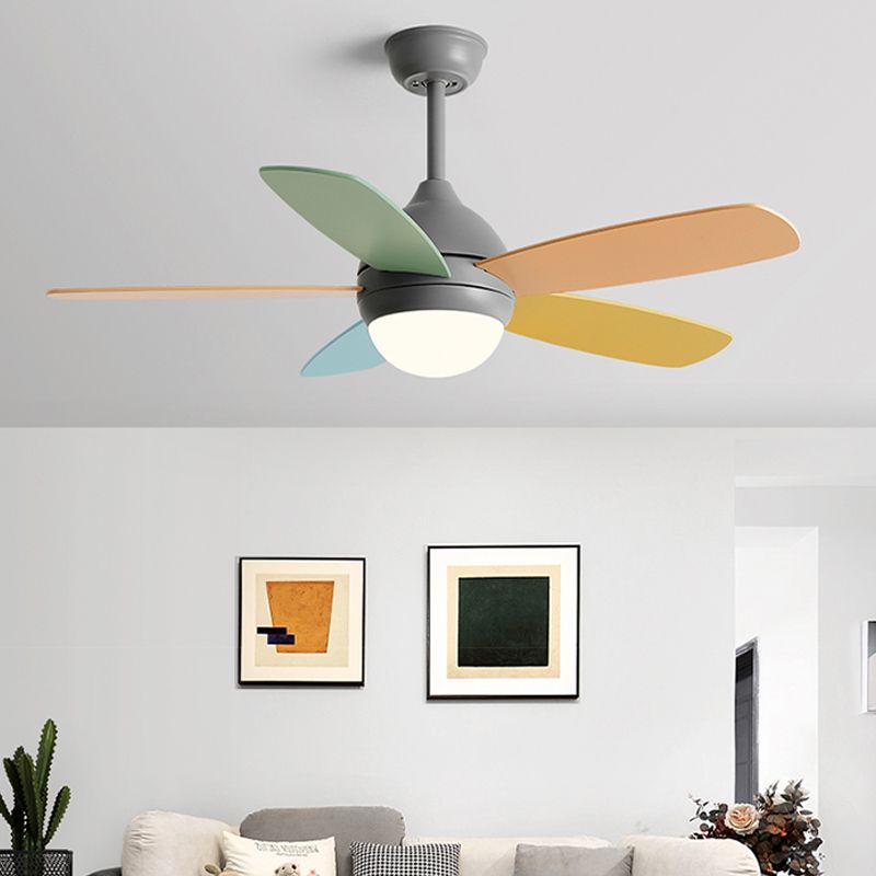 Contemporary Colorful Ceiling Fan Light Metal 1-Light LED Ceiling Fan for Bedroom