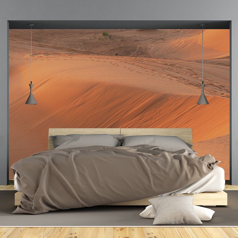 Desert Photography Decorative Wall Mural Living Room Mural Wallpaper