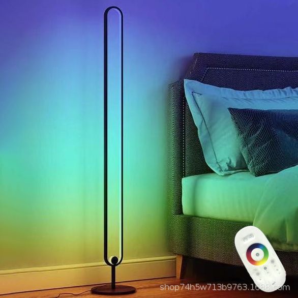 Elliptical Bedroom Atmosphere Floor Lamp Metal LED Minimalist Floor Light in Black