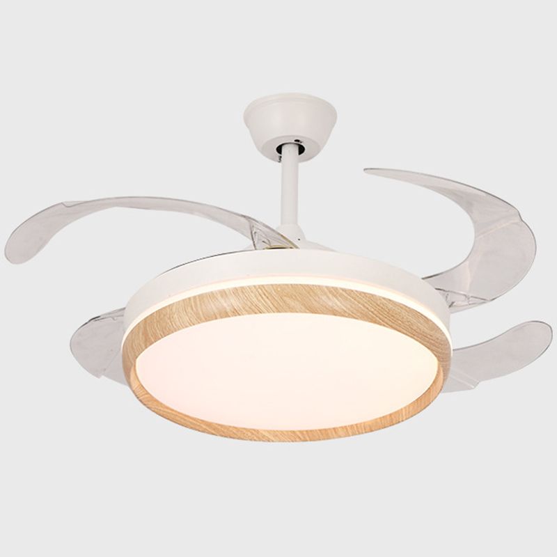 Iron and Acrylic LED Ceiling Fan Fixture Contemporary Drum Fan Lighting in White